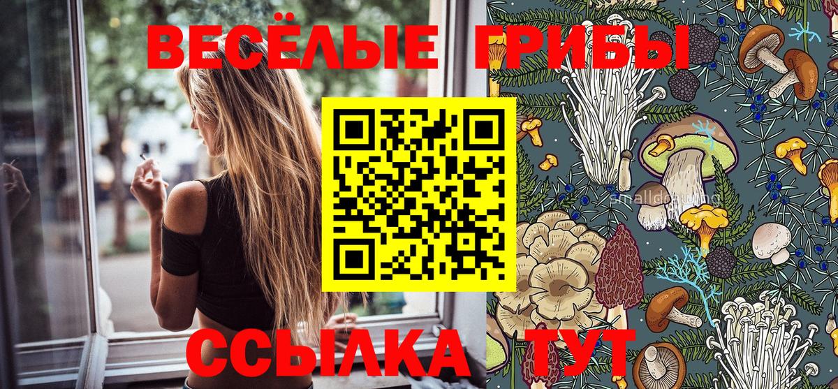Галлюциногенные грибы MAGIC MUSHROOMS  Вход с VPN  Балтийск 