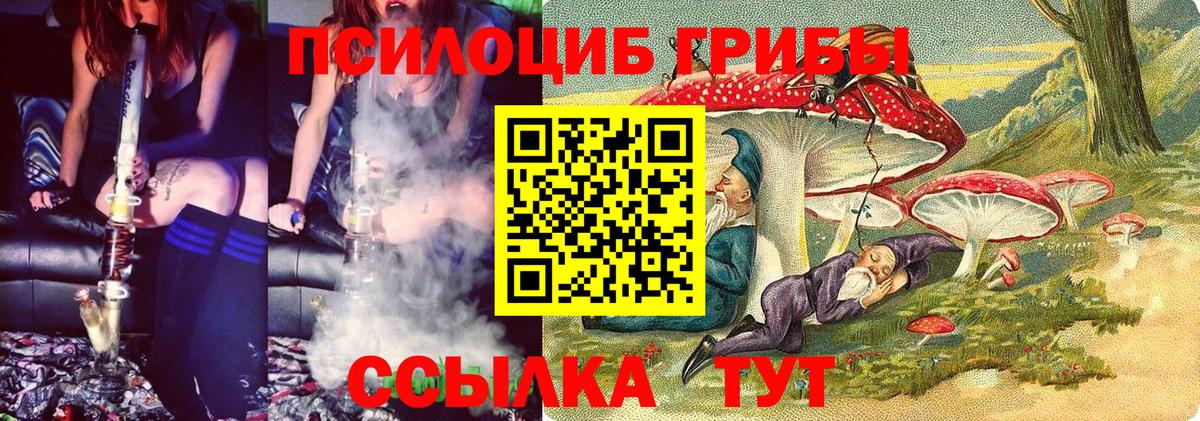 Галлюциногенные грибы Cubensis Балтийск